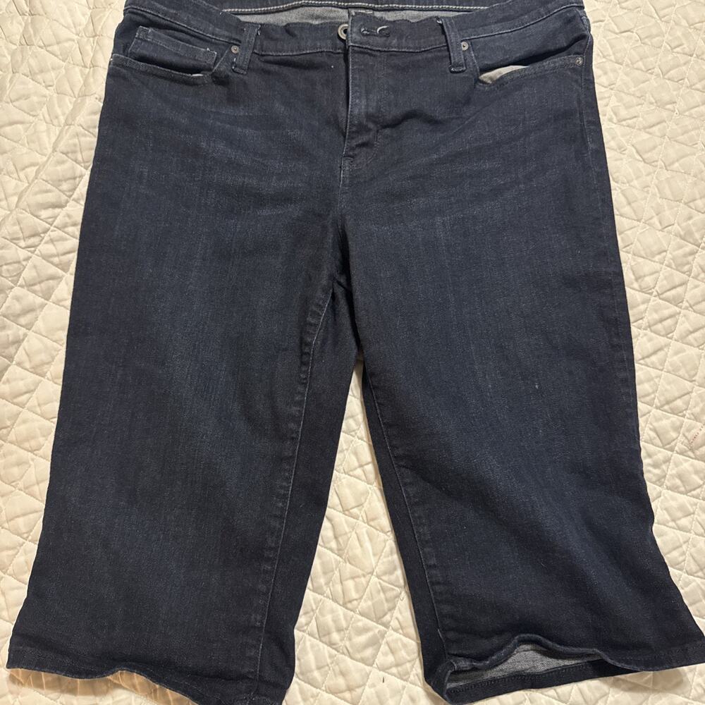 Don’t Jeans Ludlow Short Size 14